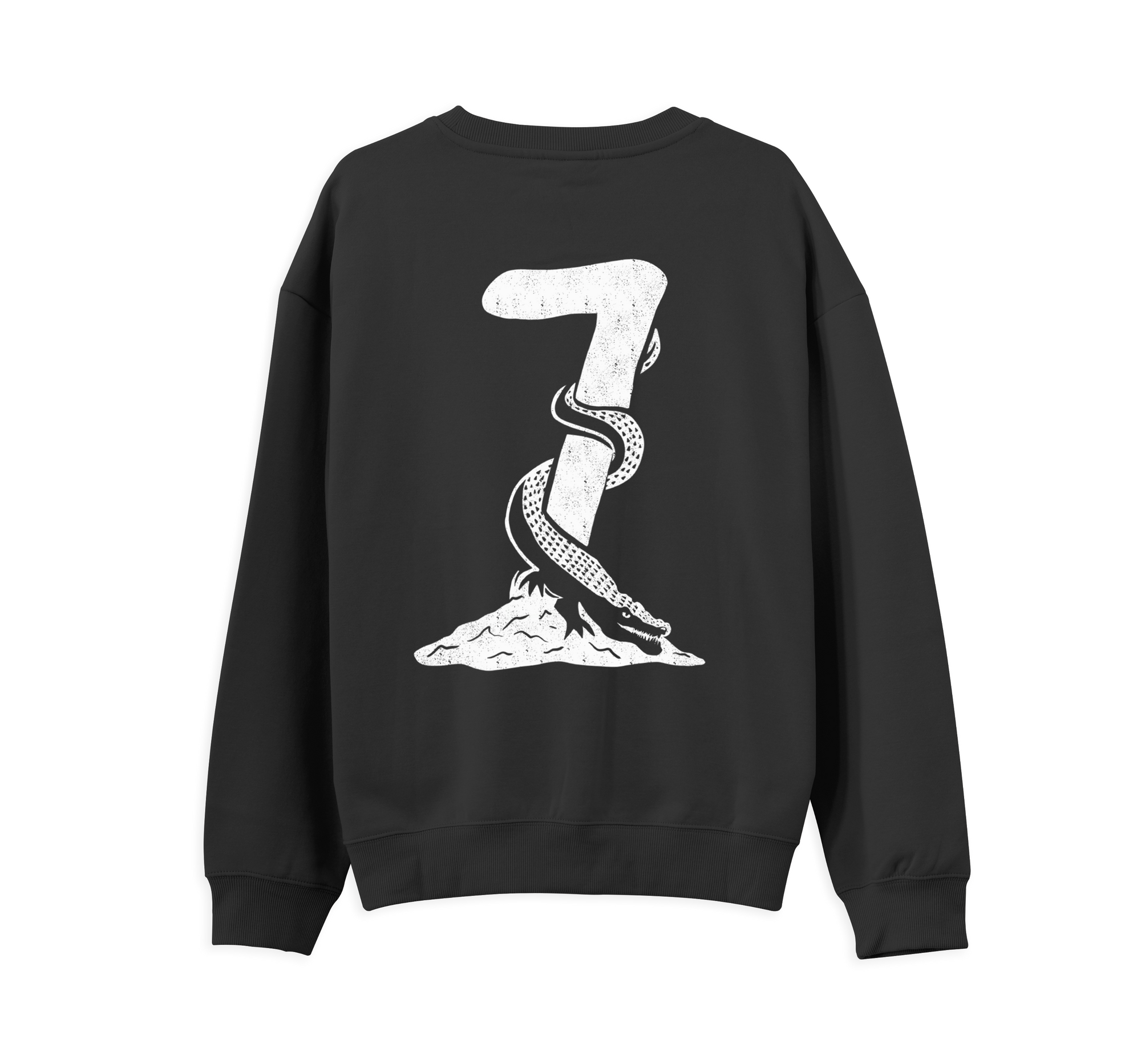 Catfish and the Bottlemen 7 Sweatshirt