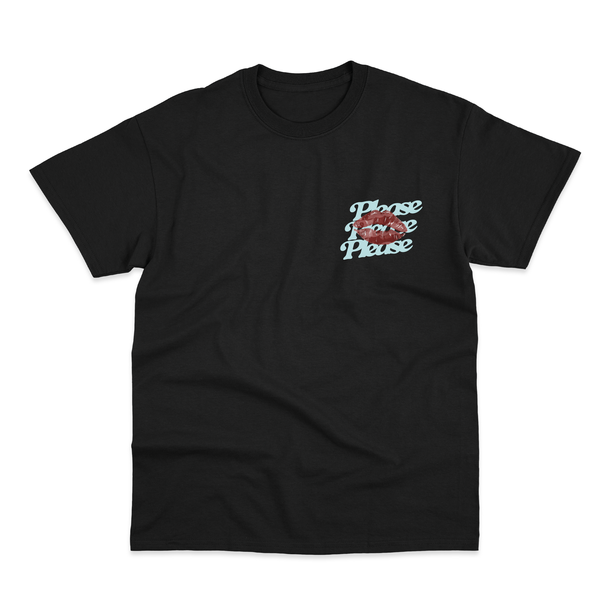 Please Please Please T-Shirt