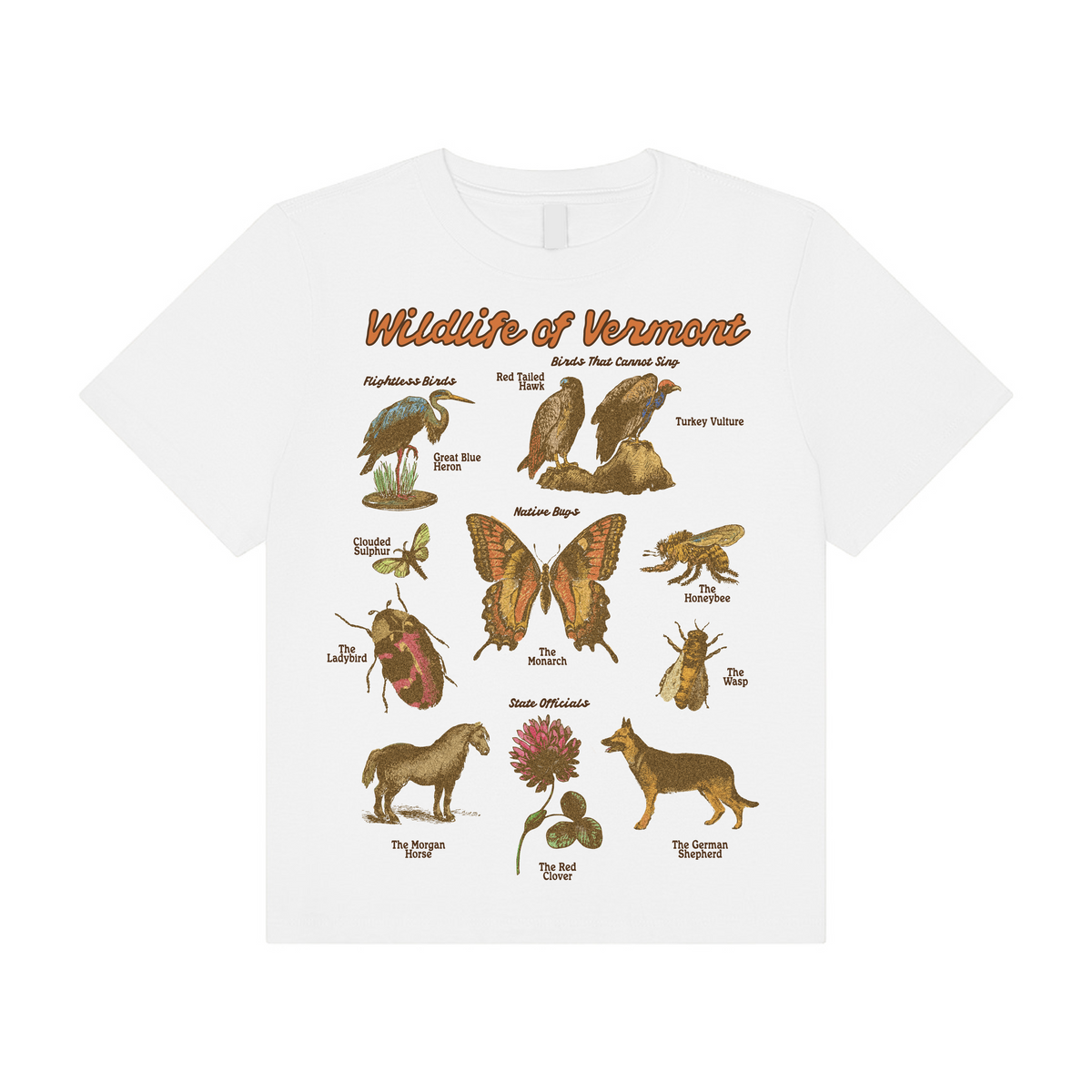 Vermont Wildlife Boxy T