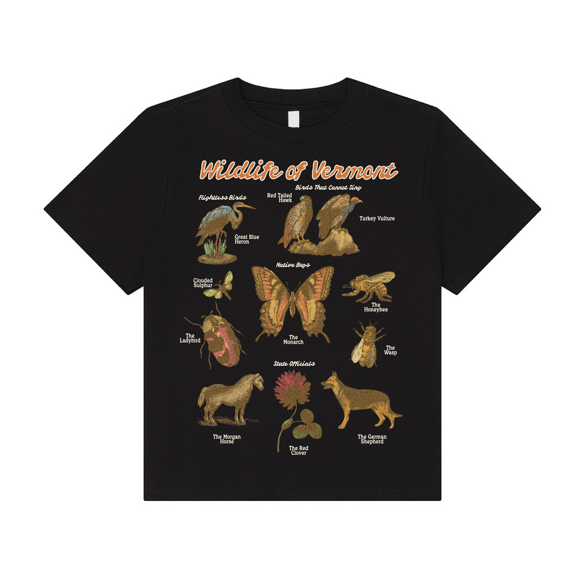 Vermont Wildlife Boxy T