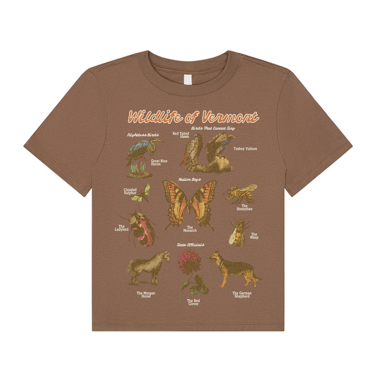 Vermont Wildlife Boxy T