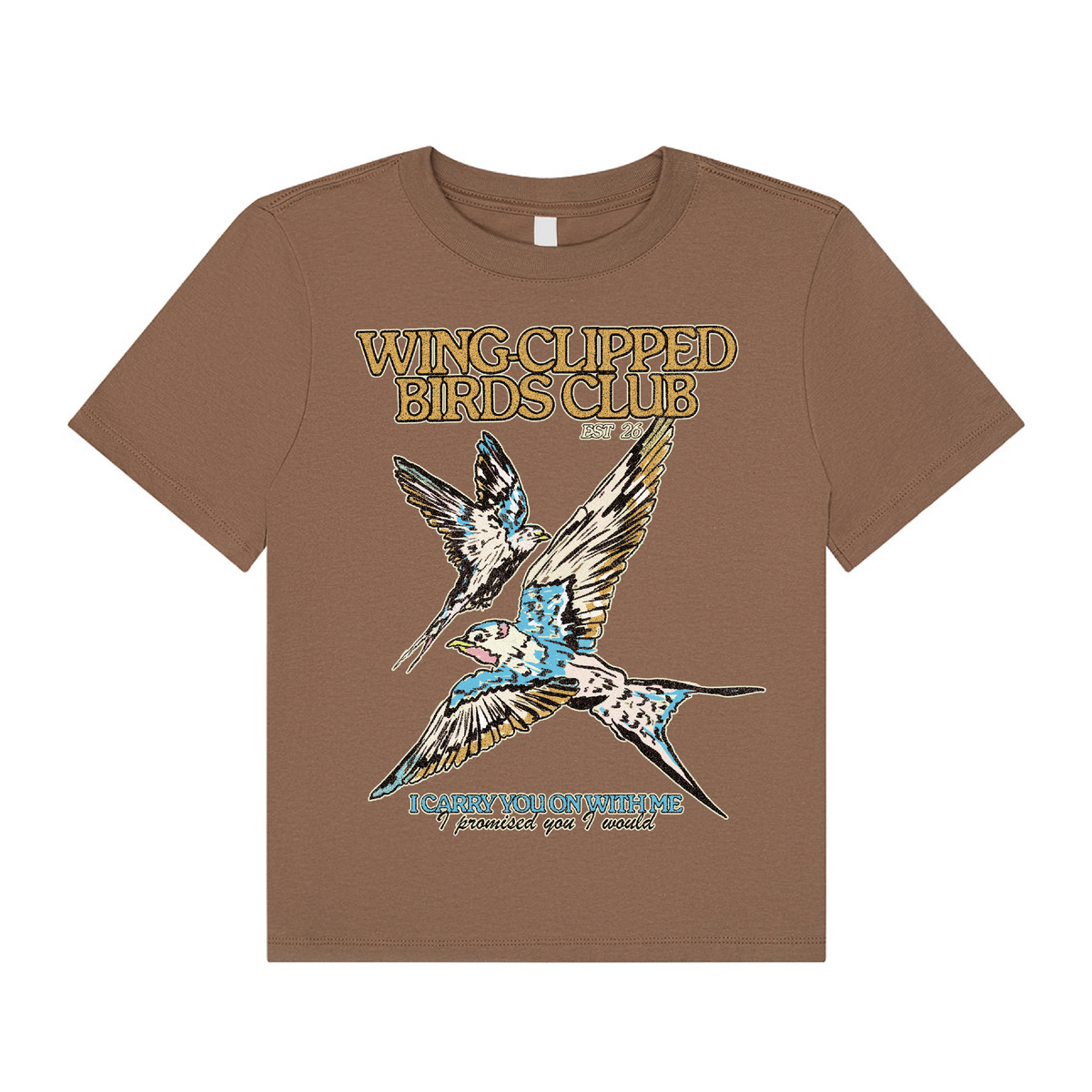 Wing Clipped Birds Boxy T